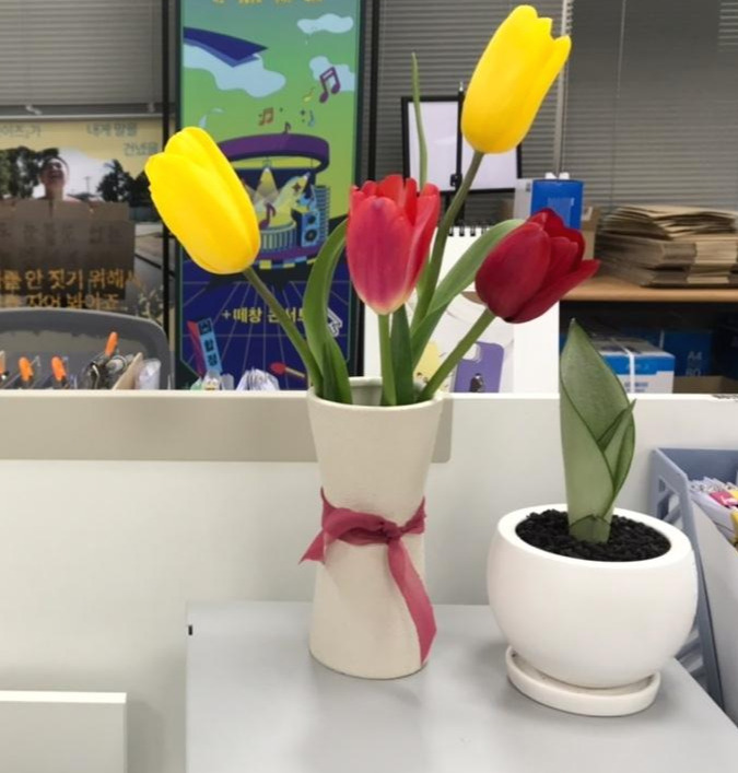 튤립.jpg