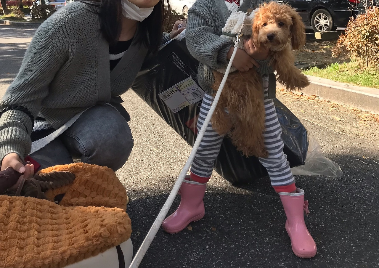 아이와 멍멍멍.jpg