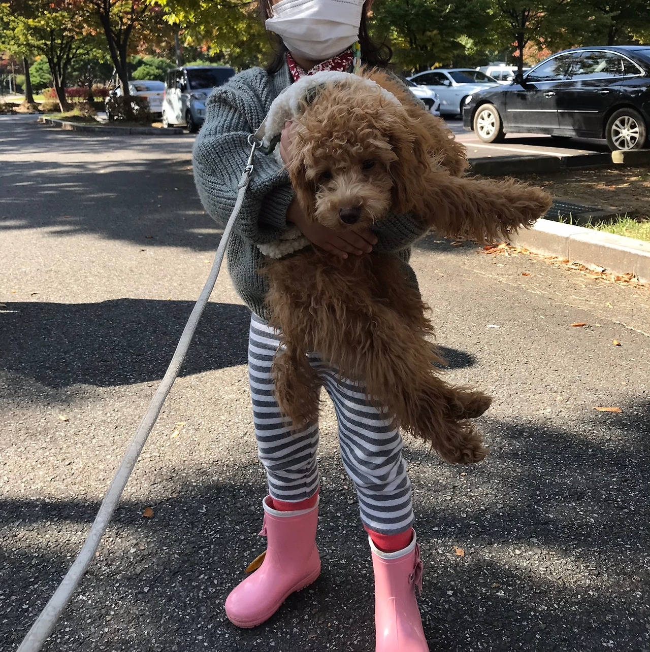 귀여운 한때.jpg