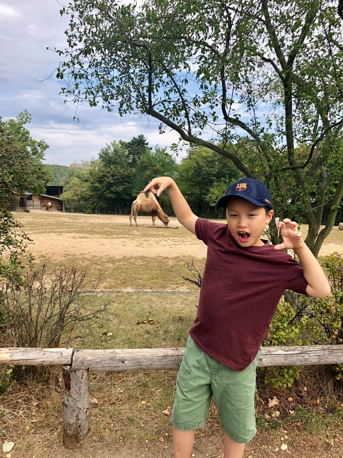 프라하 동물원 낙타.jpg