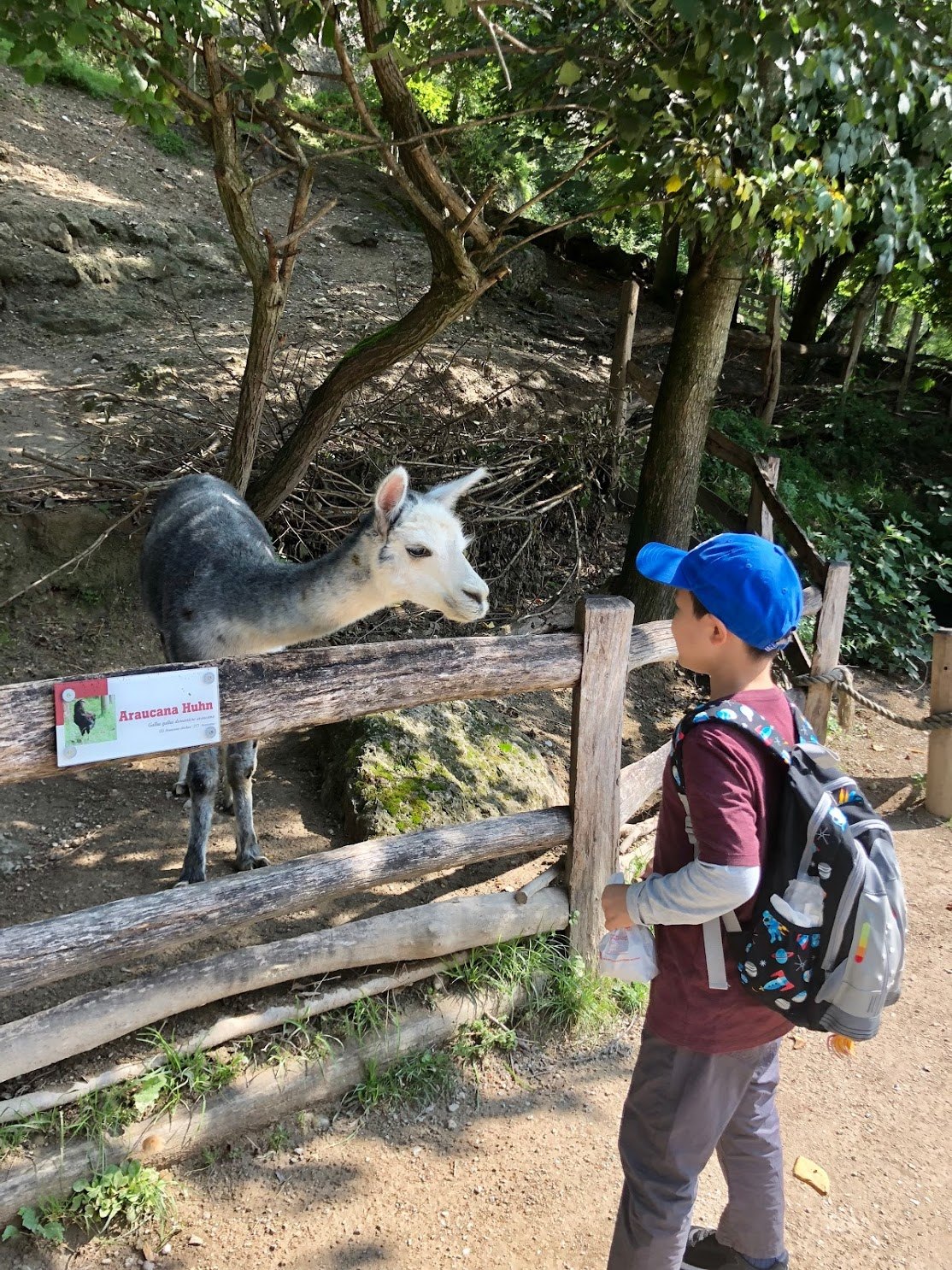 잘츠부르크_헬브룬 동물원.jpg