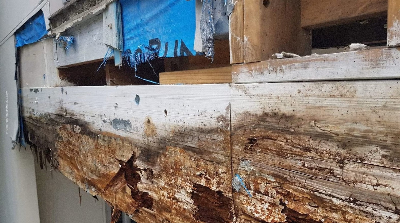 화면 캡처 2025-10-02 134952.jpg