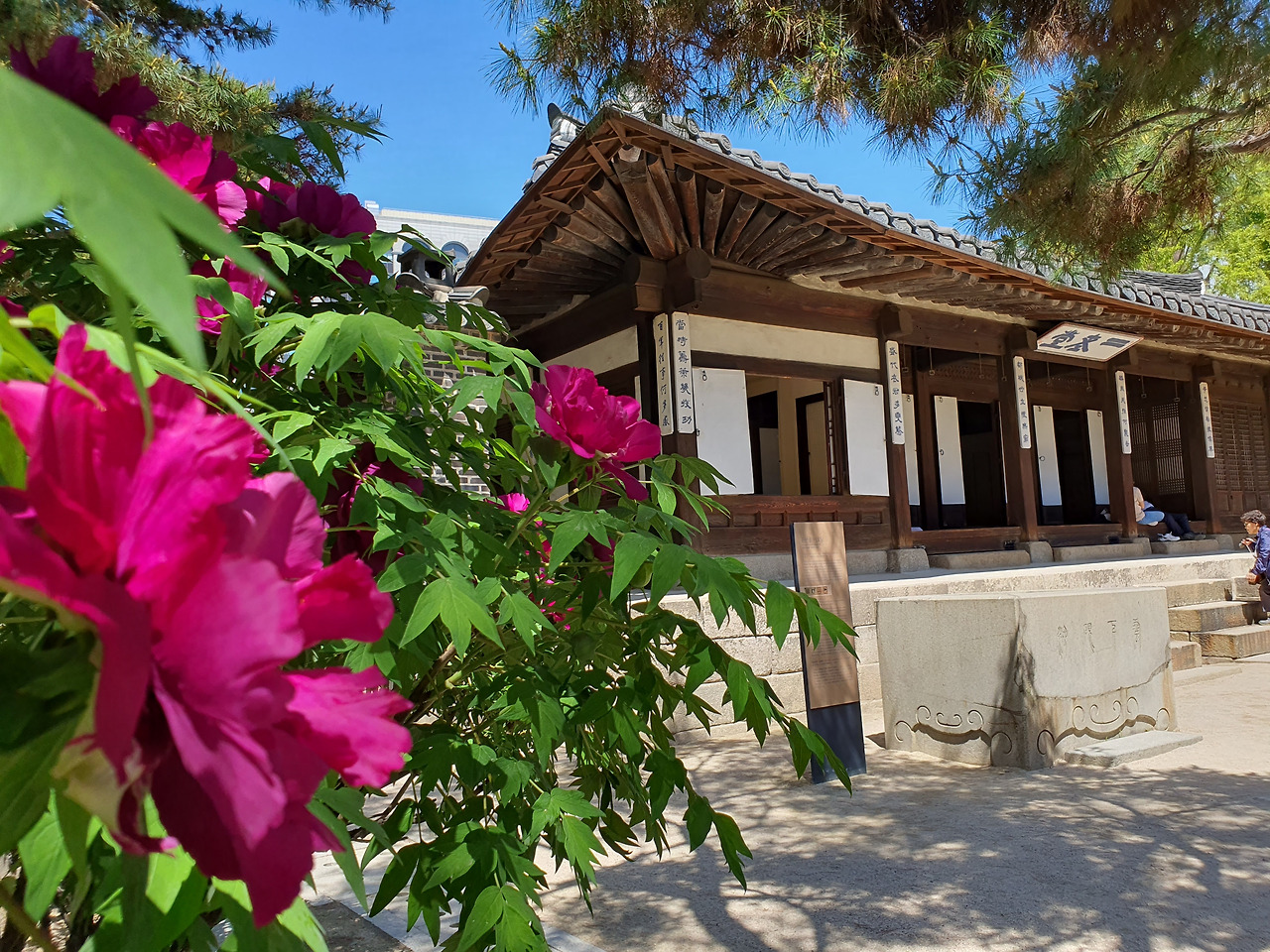 2023-04-19  13-07-23.jpg