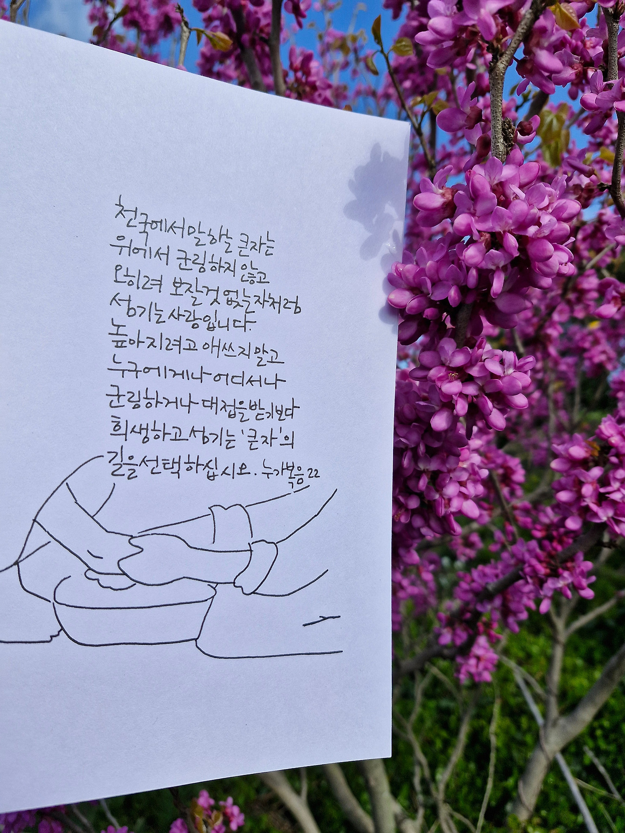 카지노 쿠폰
