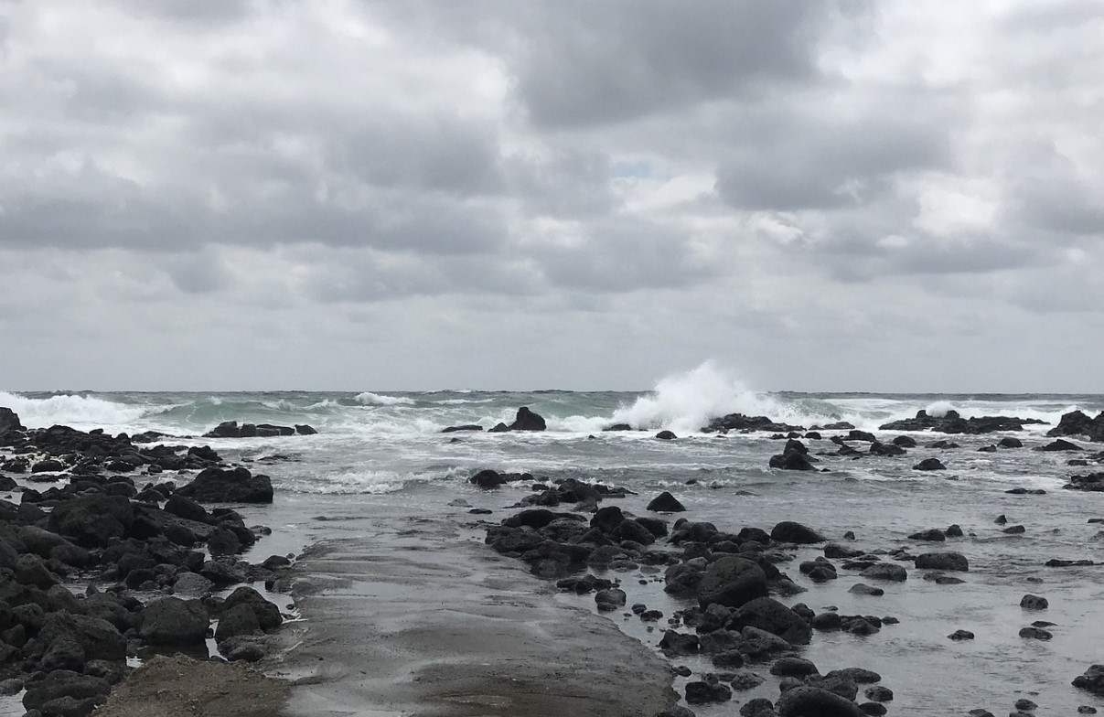 화면 캡처 2021-01-01 124809.jpg