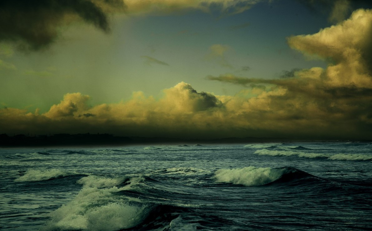 화면 캡처 2021-01-01 124703.jpg