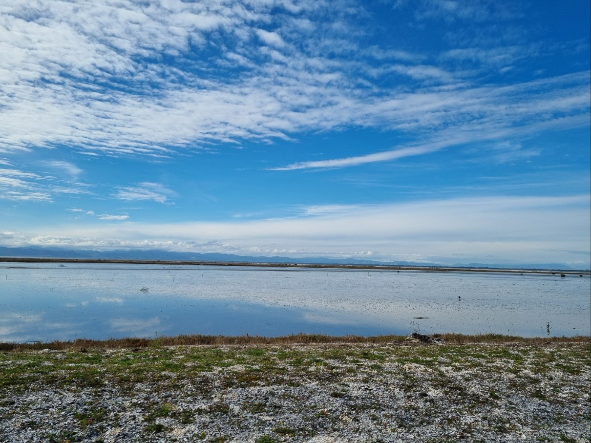 프로필 사진.jpg