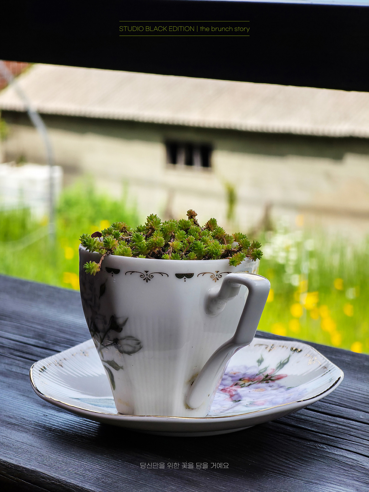 THE BRUNCH STORY 631.jpg