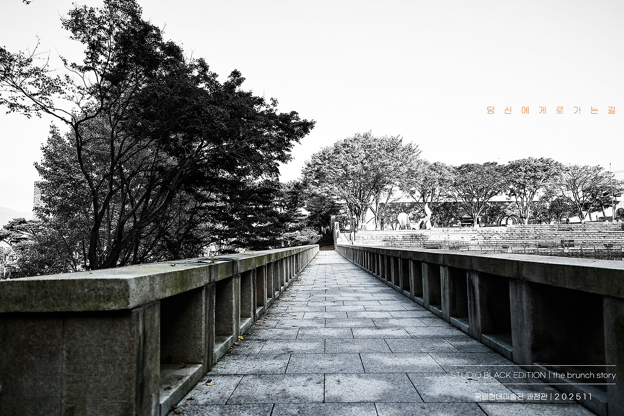 THE BRUNCH STORY 761.jpg