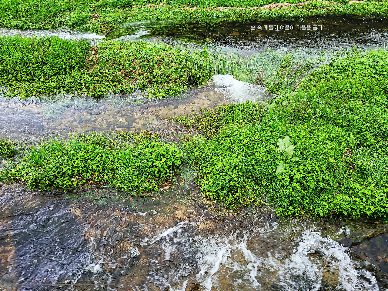 THE BRUNCH STORY 750.jpg