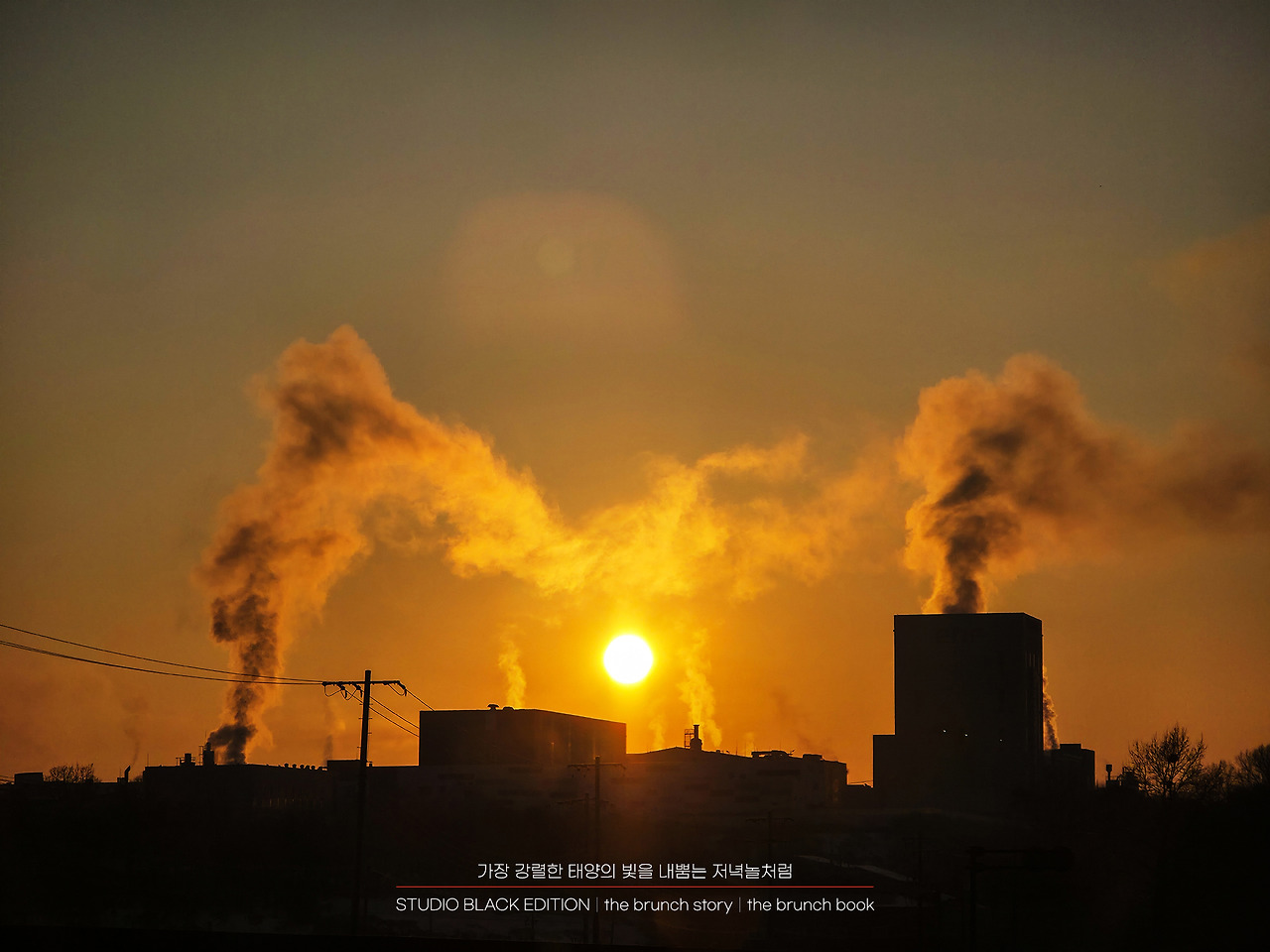 THE BRUNCH STORY 516.jpg