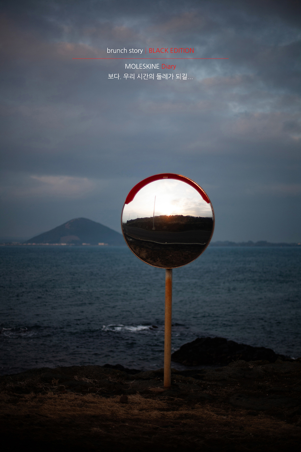 MOLESKINEDiary238.jpg