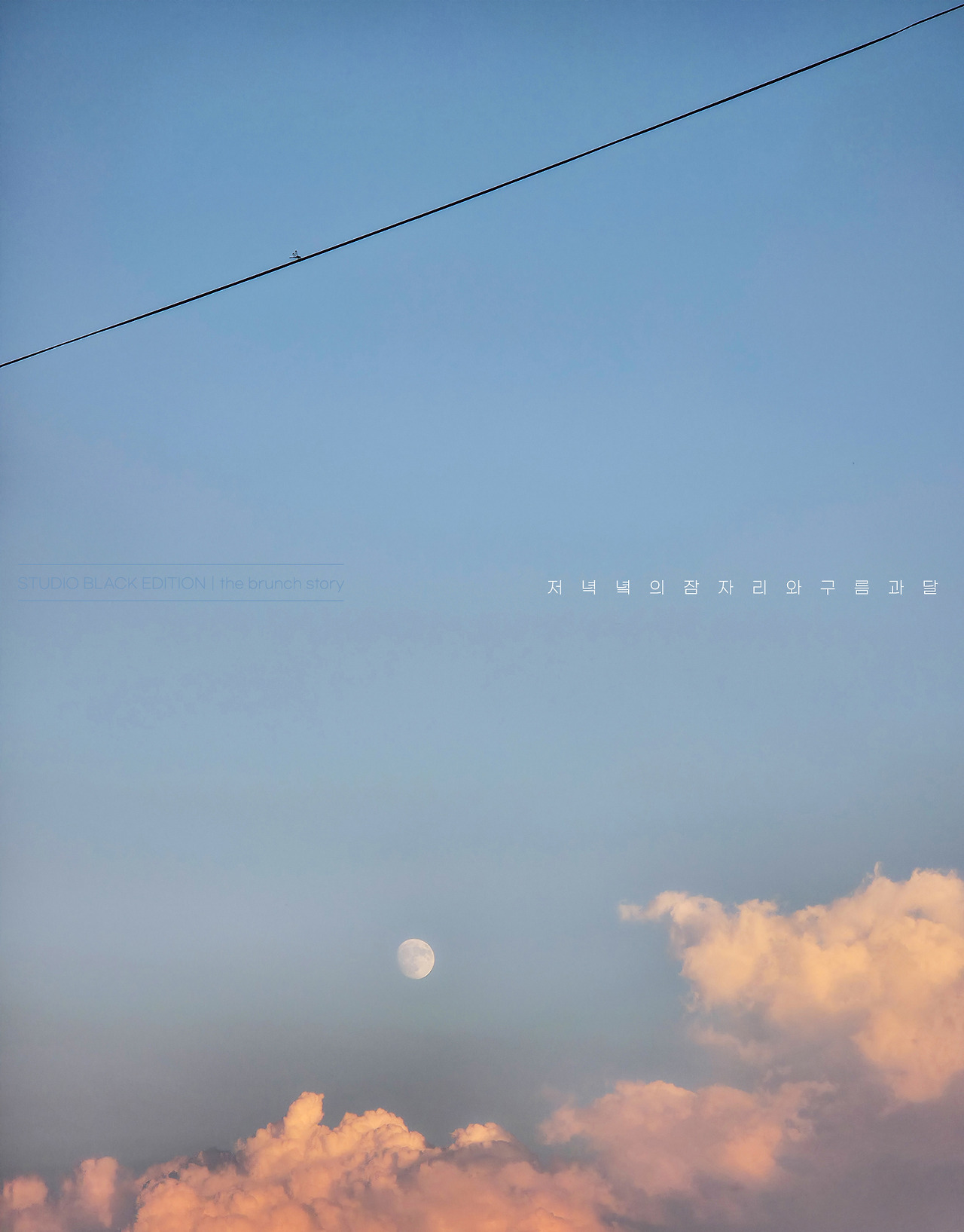 THE BRUNCH STORY 681.jpg