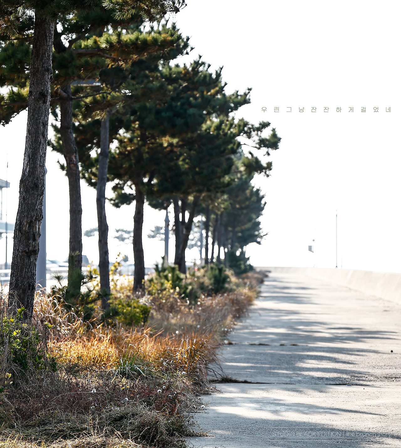 THE BRUNCH STORY 790.jpg