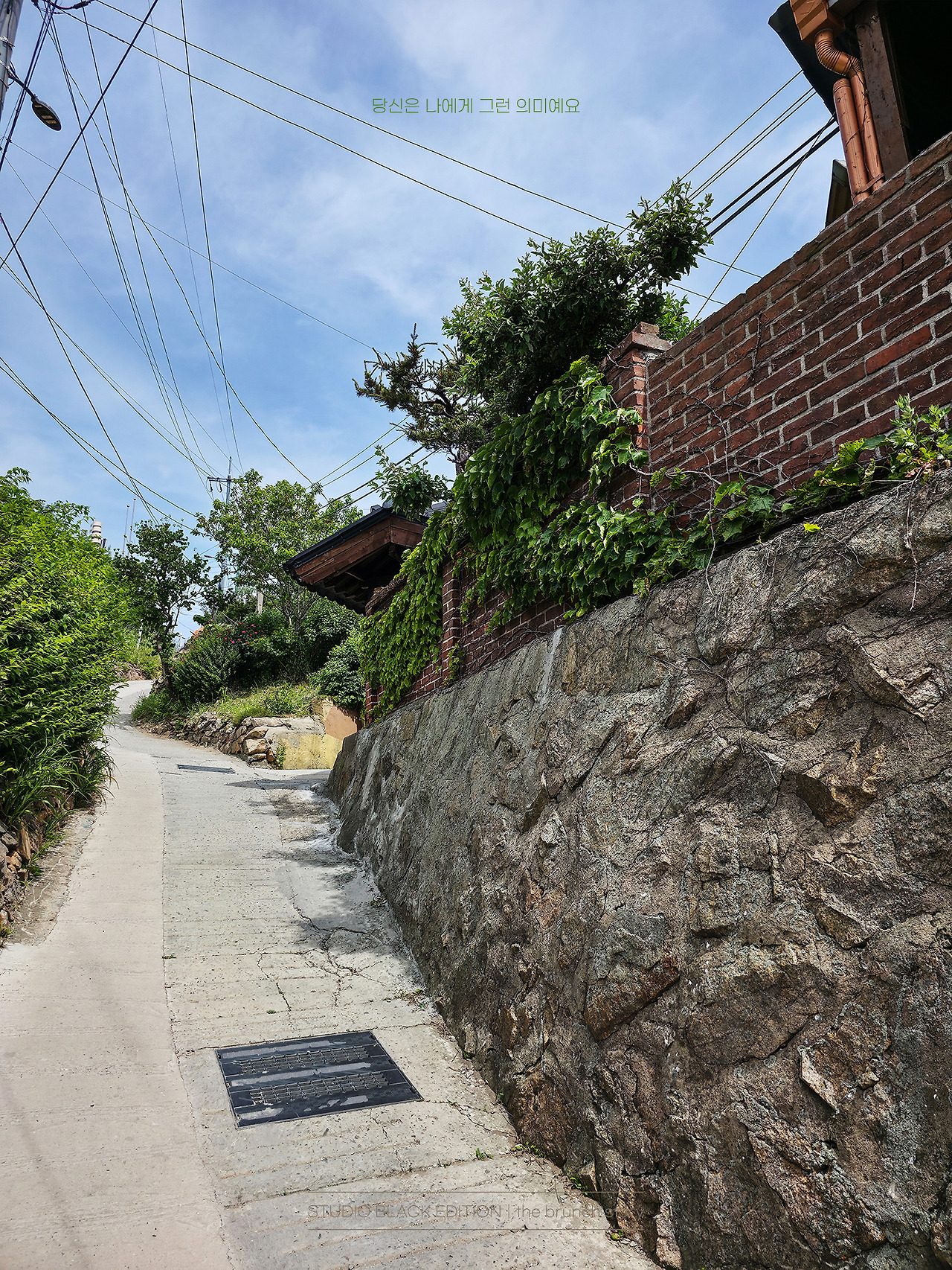 THE BRUNCH STORY 639.jpg