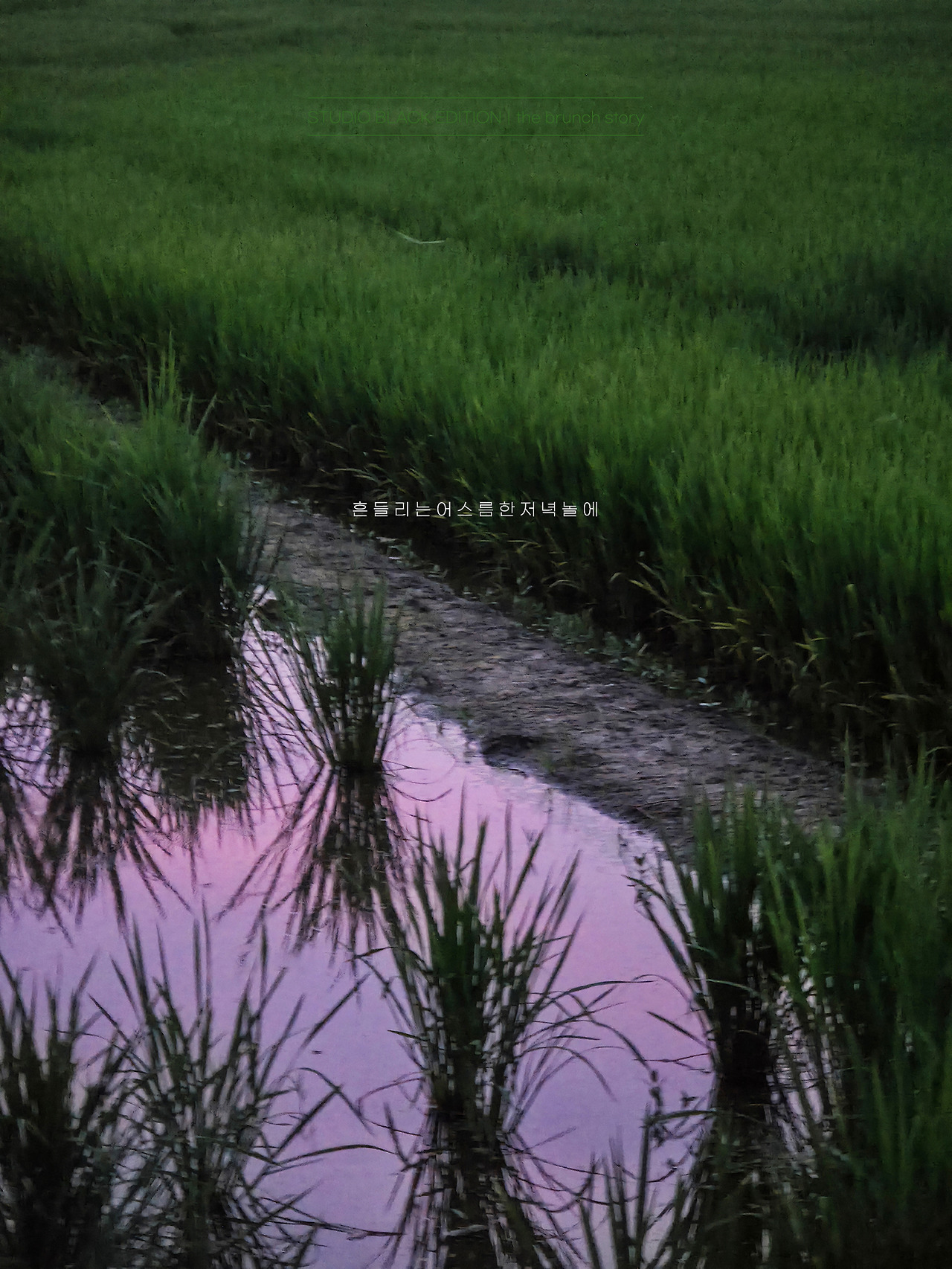 THE BRUNCH STORY 656.jpg