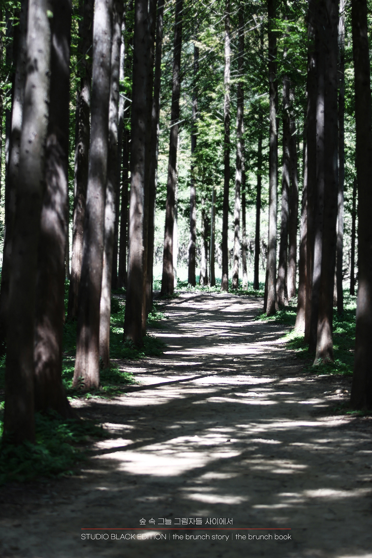 THE BRUNCH STORY 441.jpg