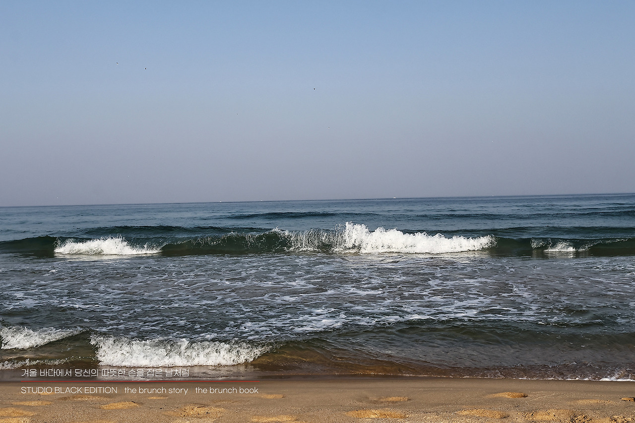 THE BRUNCH STORY 401.jpg