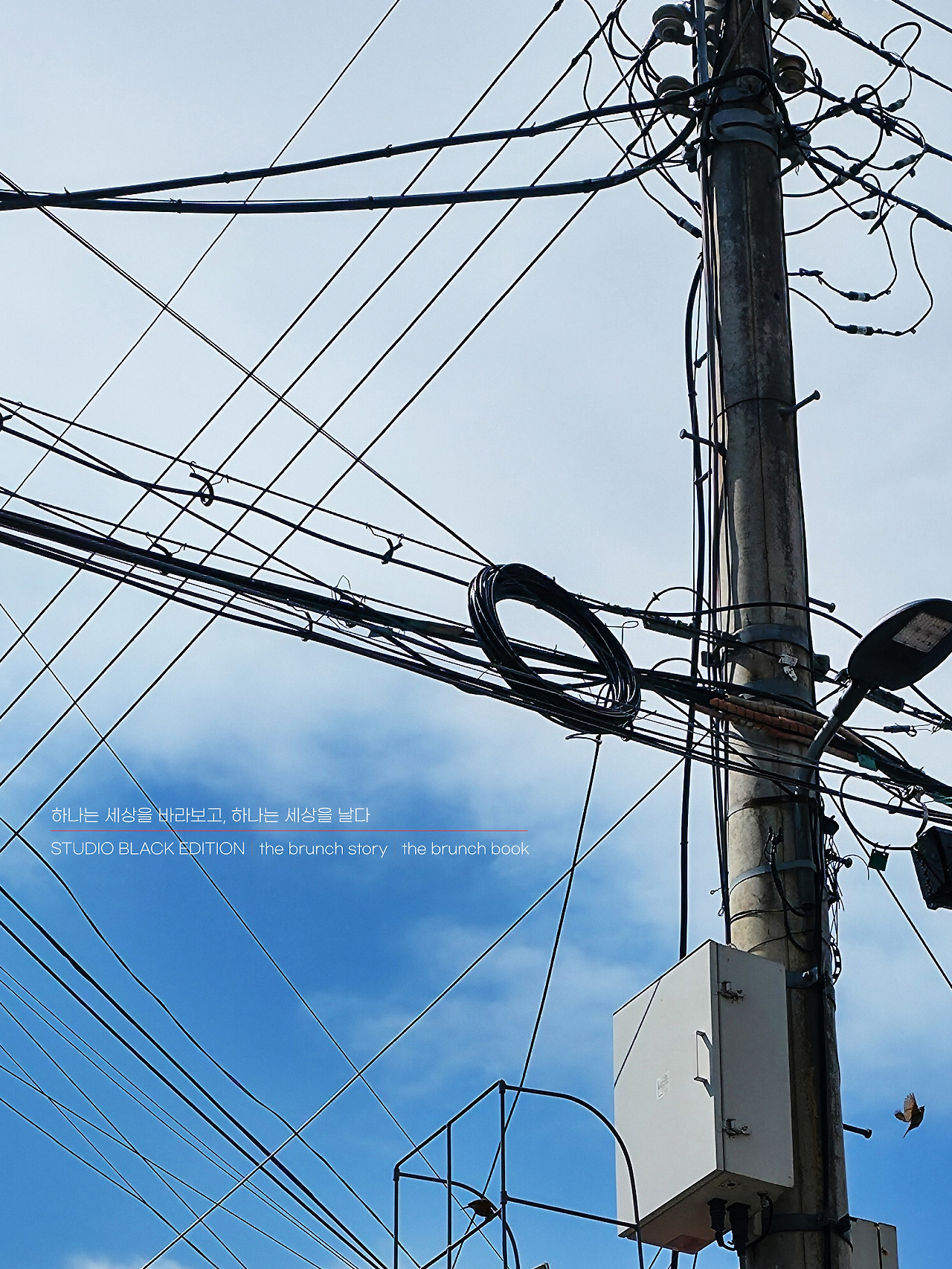 THE BRUNCH STORY 534.jpg