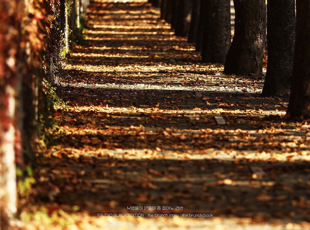 THE BRUNCH STORY 377.jpg