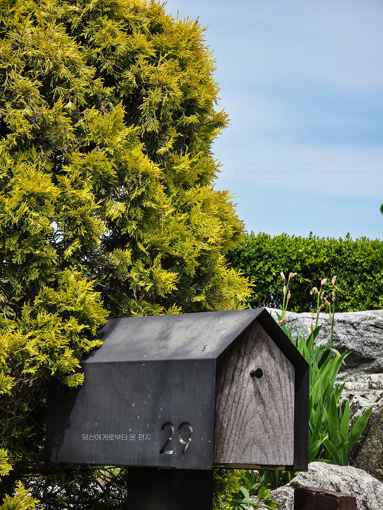 THE BRUNCH STORY 624.jpg