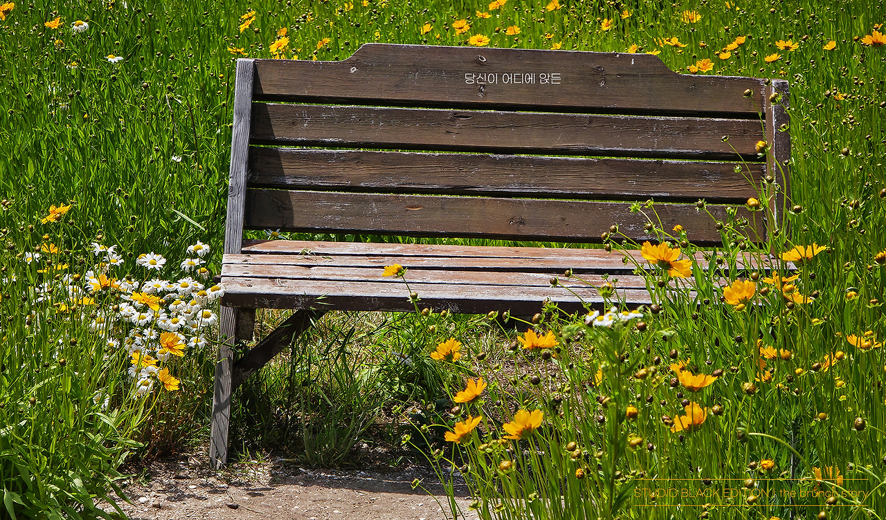 THE BRUNCH STORY 653.jpg