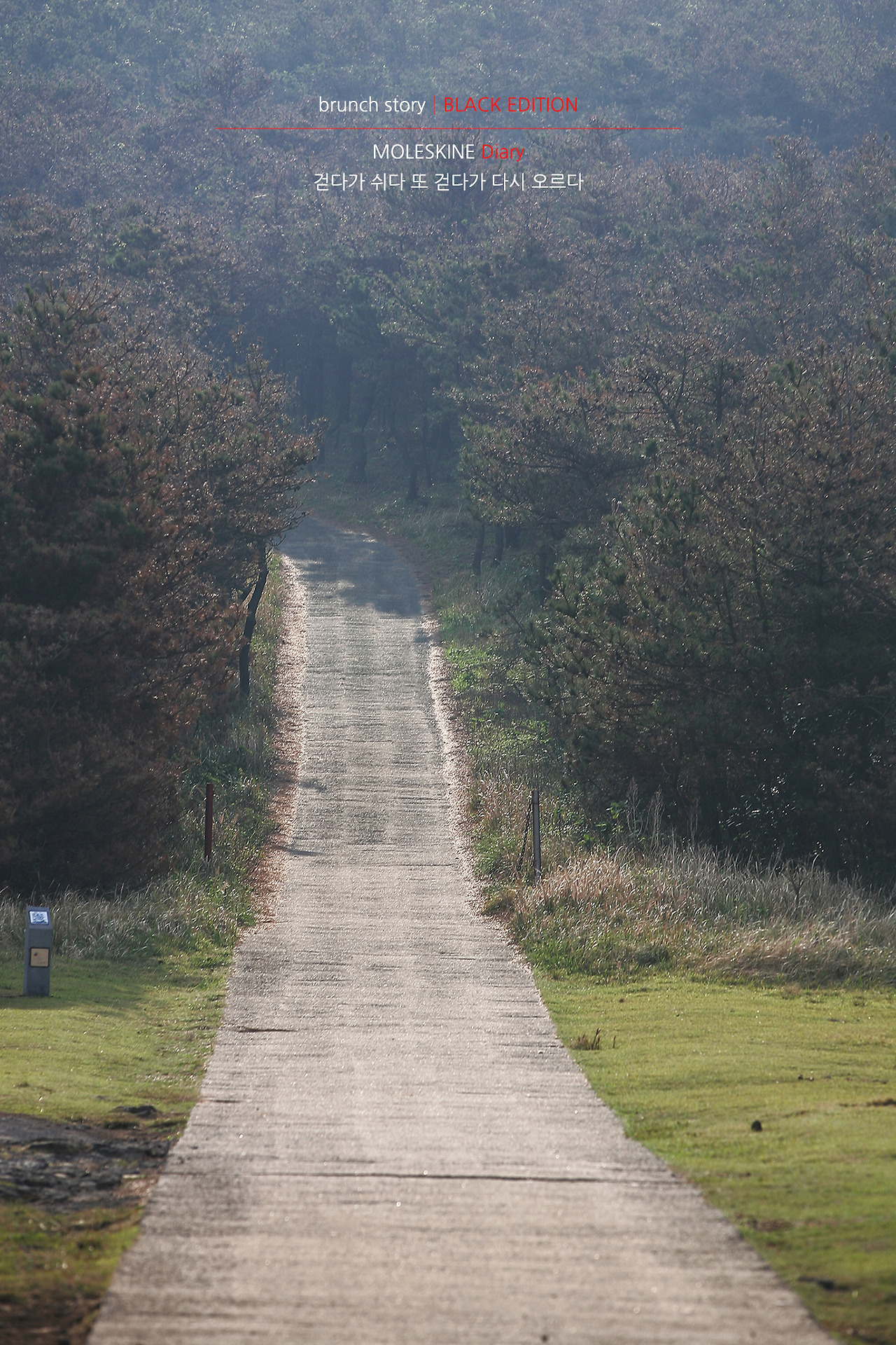 MOLESKINEDiary166.jpg