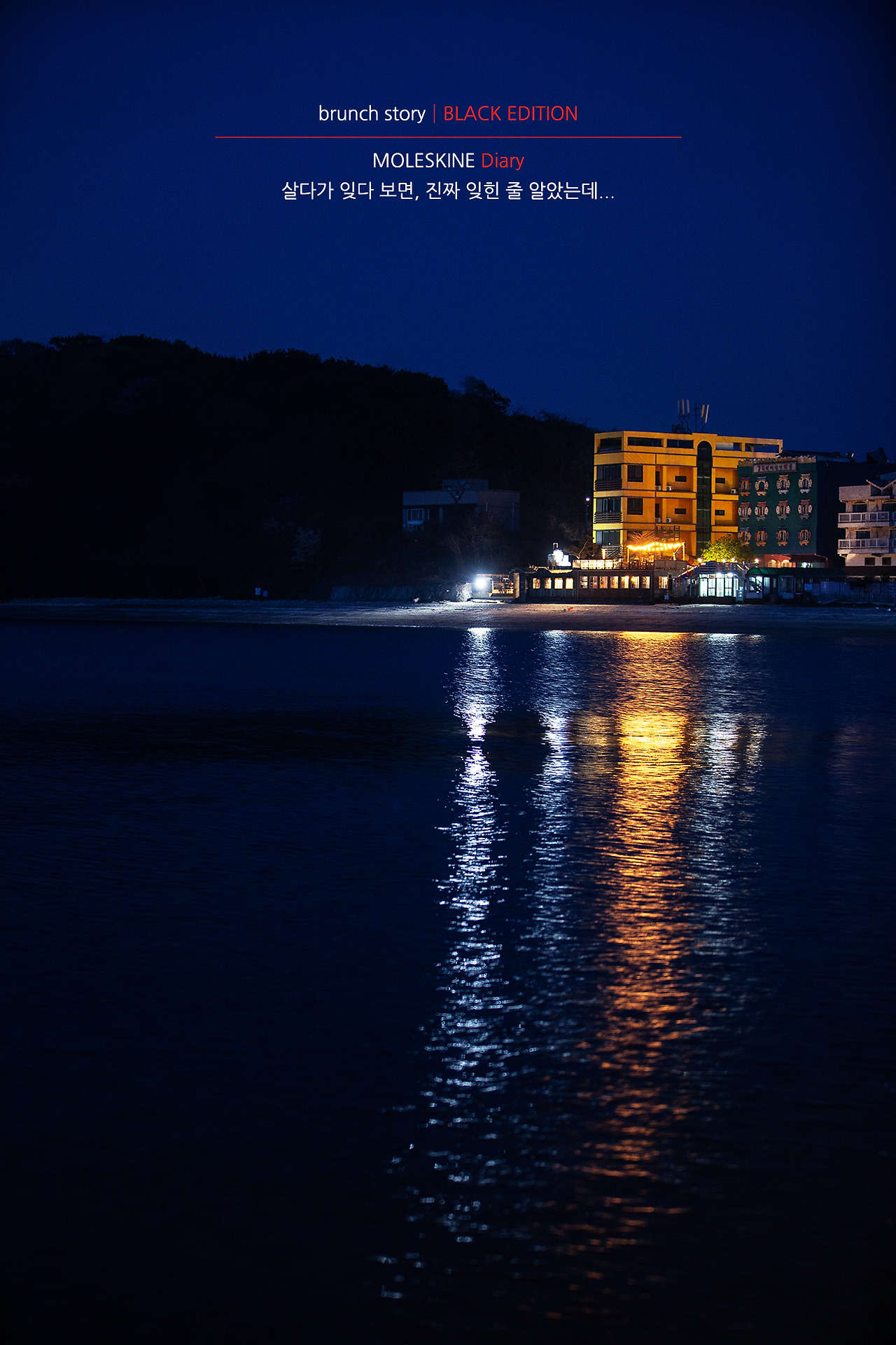 MOLESKINEDiary119.jpg