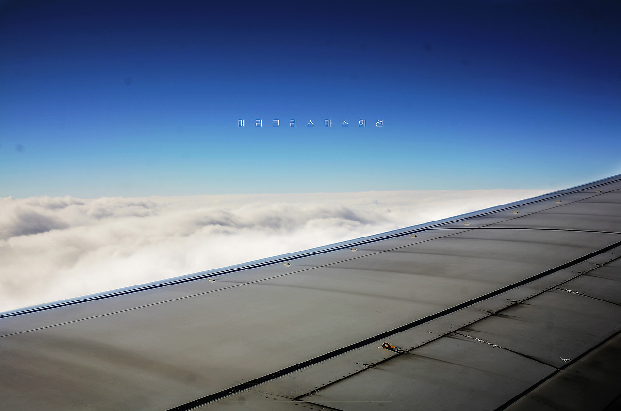 THE BRUNCH STORY 800.jpg