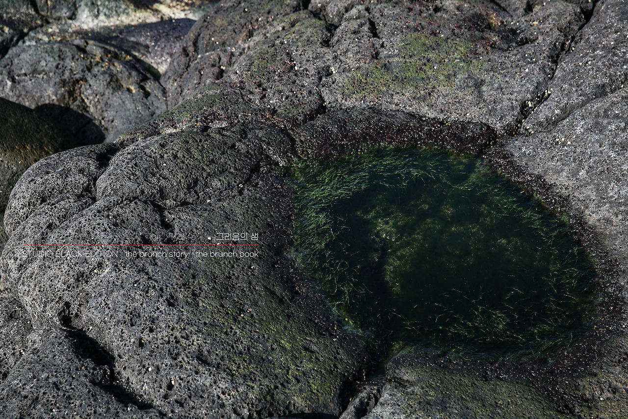 THE BRUNCH STORY 486.jpg