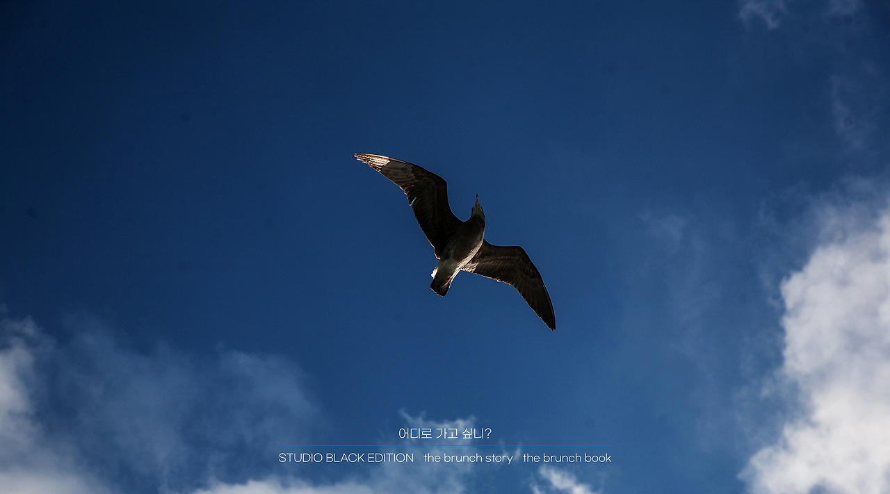 THE BRUNCH STORY 397.jpg