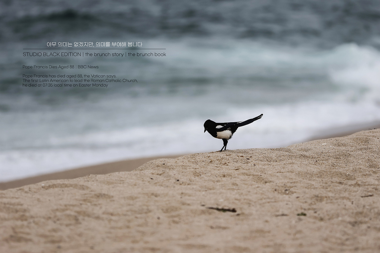 THE BRUNCH STORY 537.jpg