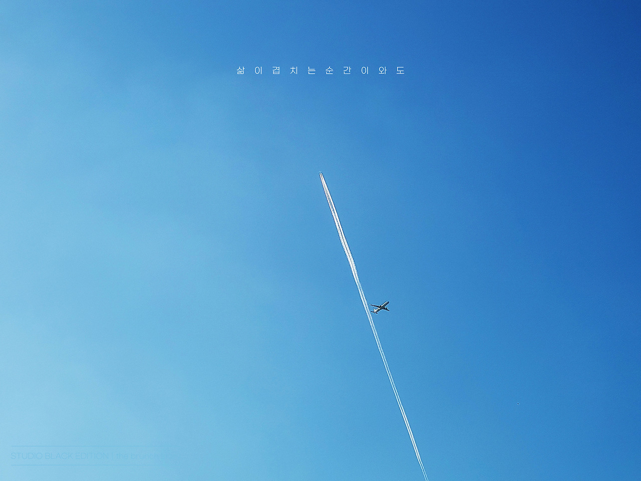 THE BRUNCH STORY 744.jpg