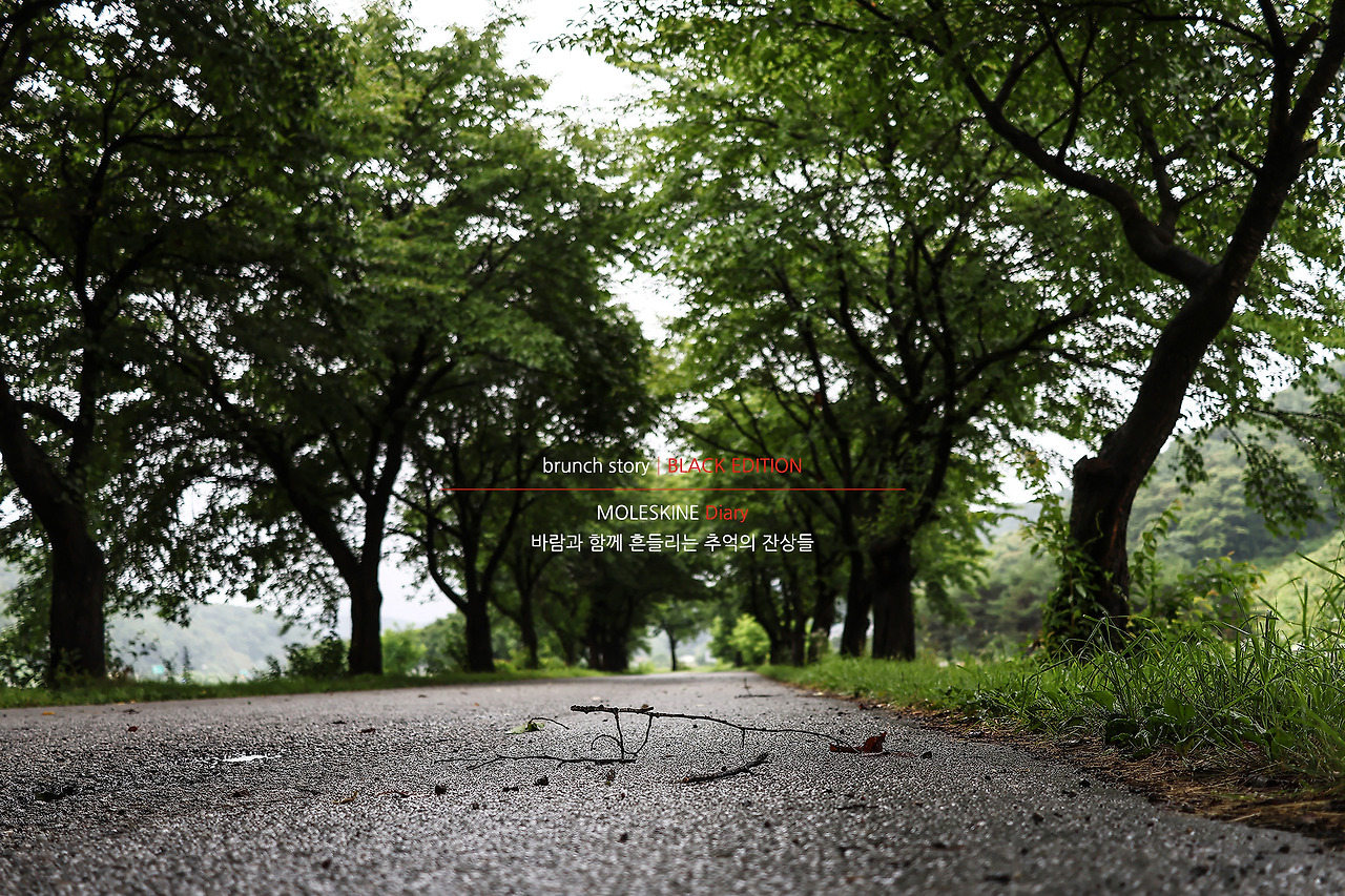 MOLESKINEDiary210.jpg