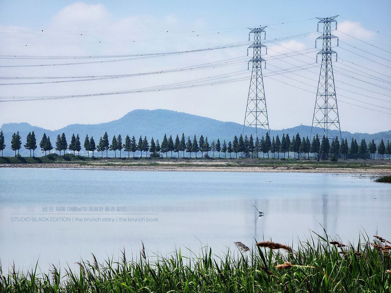 THE BRUNCH STORY 601.jpg