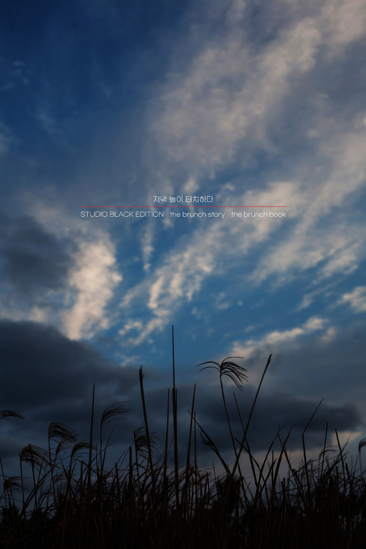 THE BRUNCH STORY 398.jpg