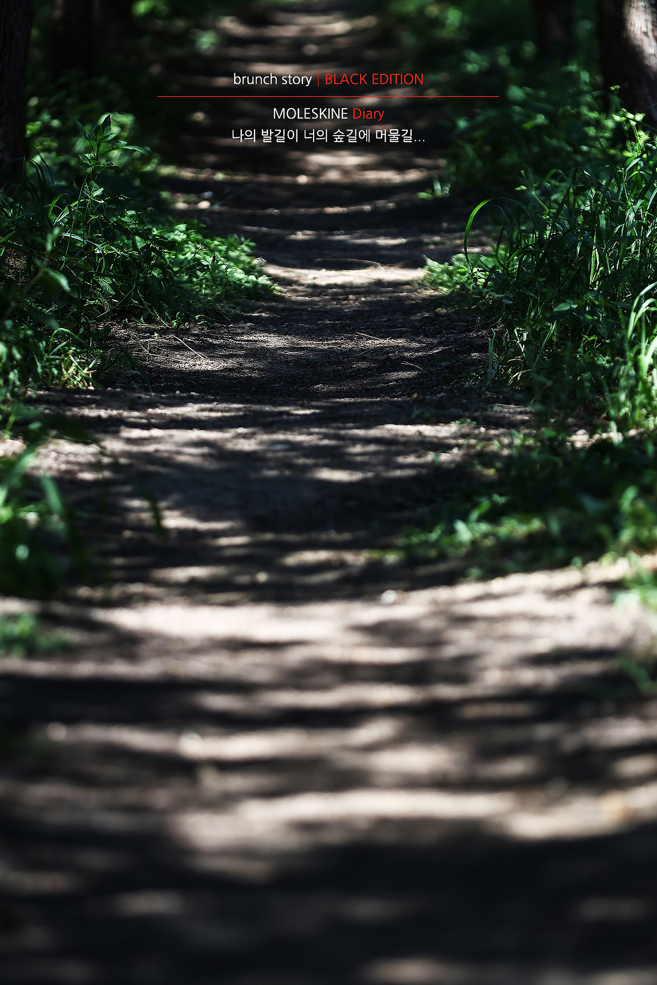 MOLESKINEDiary274.jpg