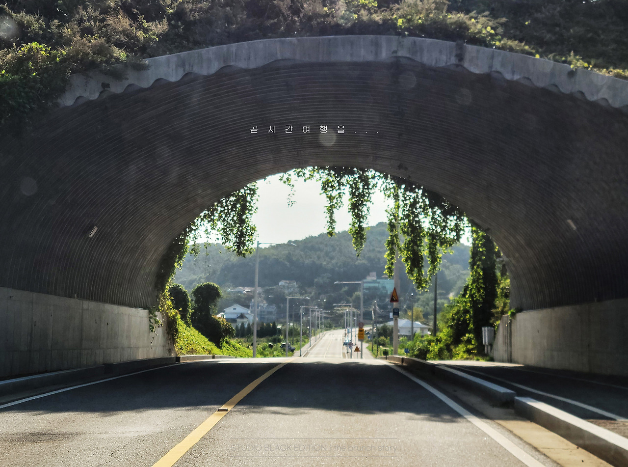 THE BRUNCH STORY 742.jpg