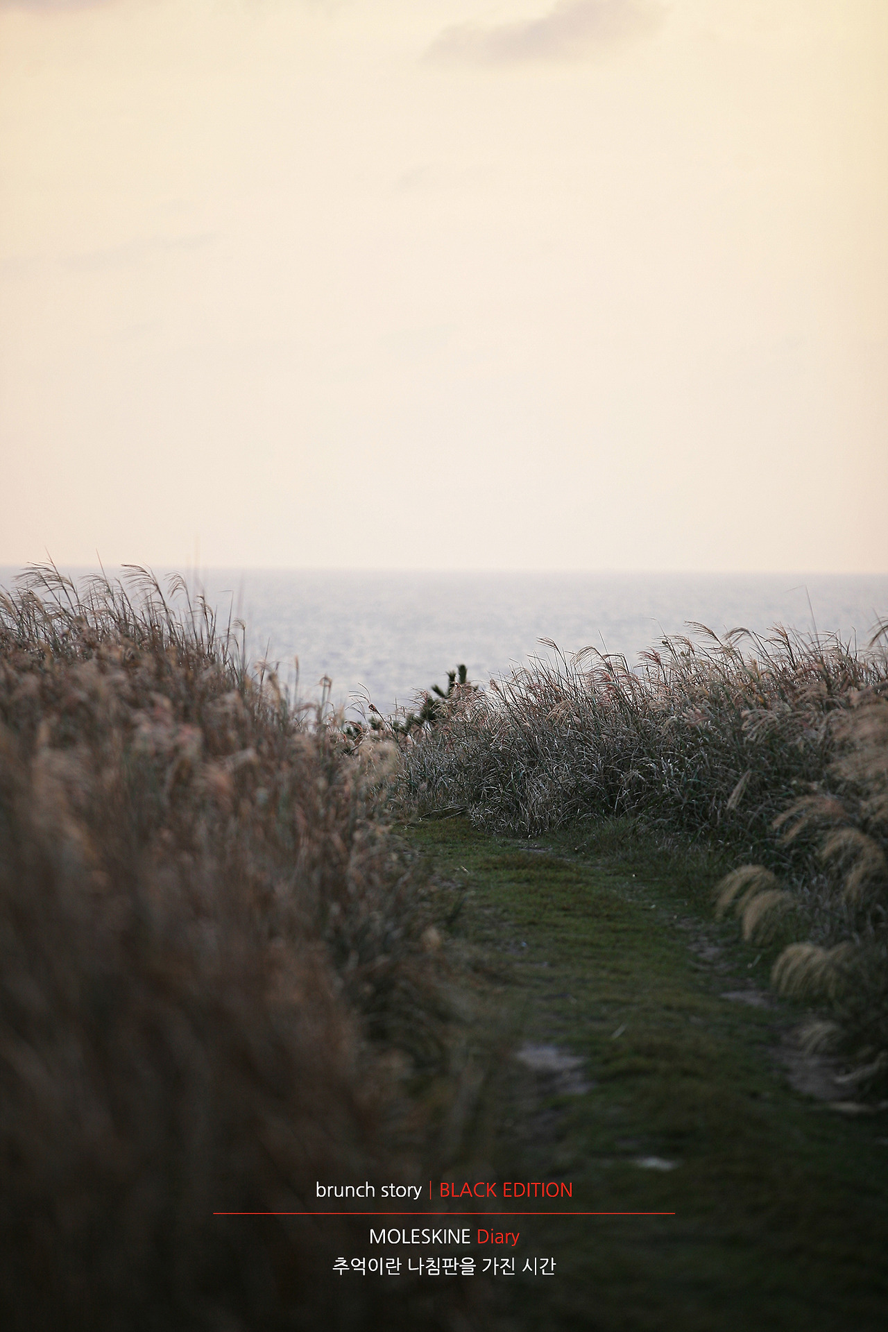 MOLESKINEDiary202.jpg