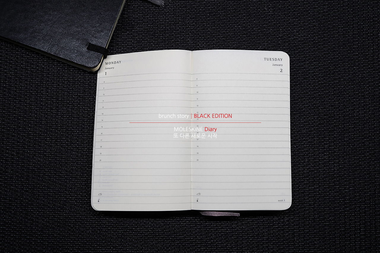MOLESKINEDiary016.jpg