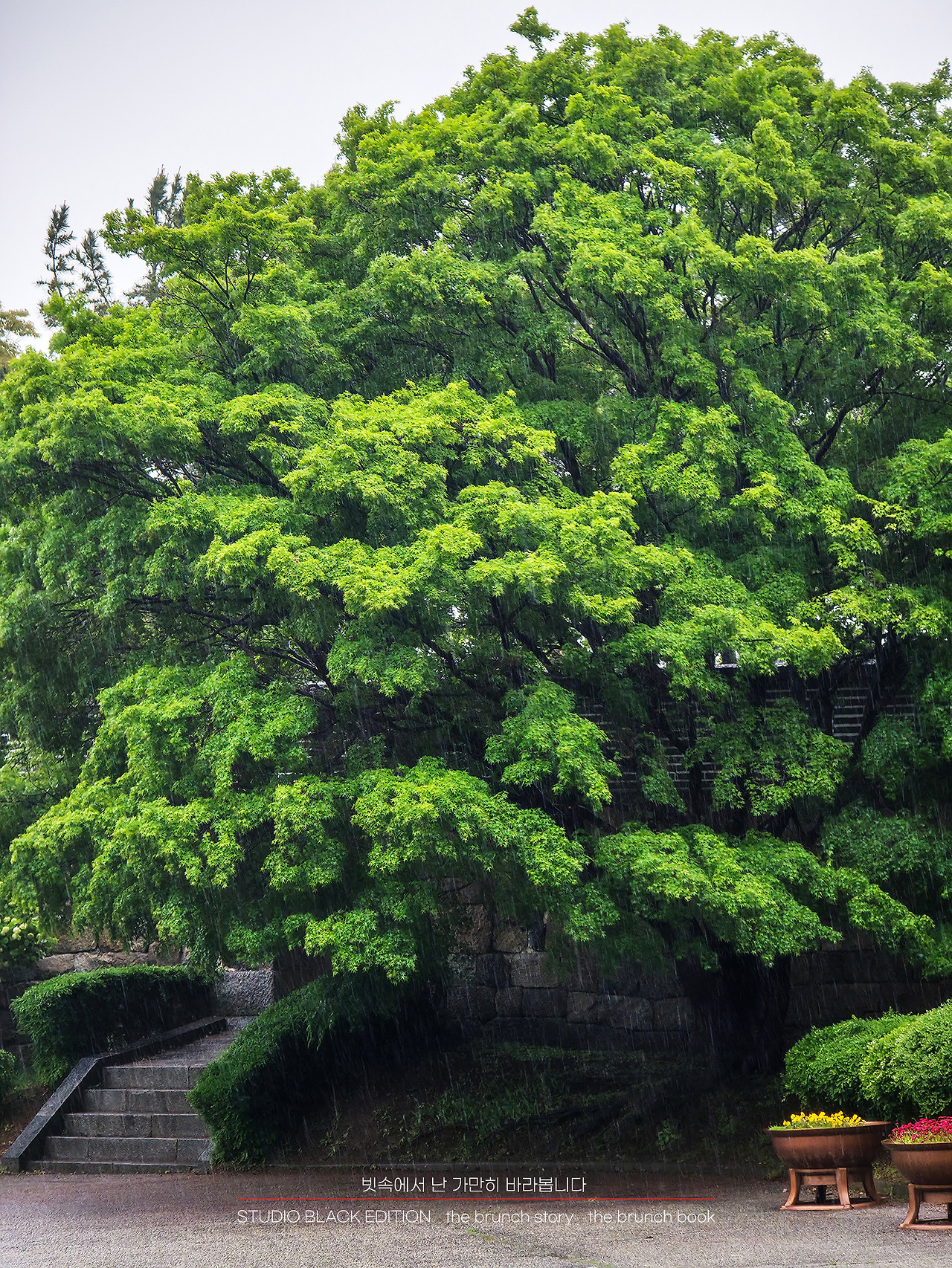 THE BRUNCH STORY 566.jpg