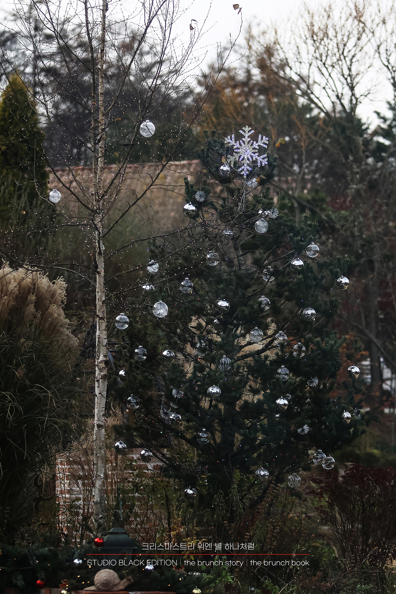 THE BRUNCH STORY 394.jpg