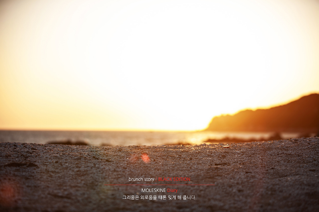 MOLESKINEDiary179.jpg