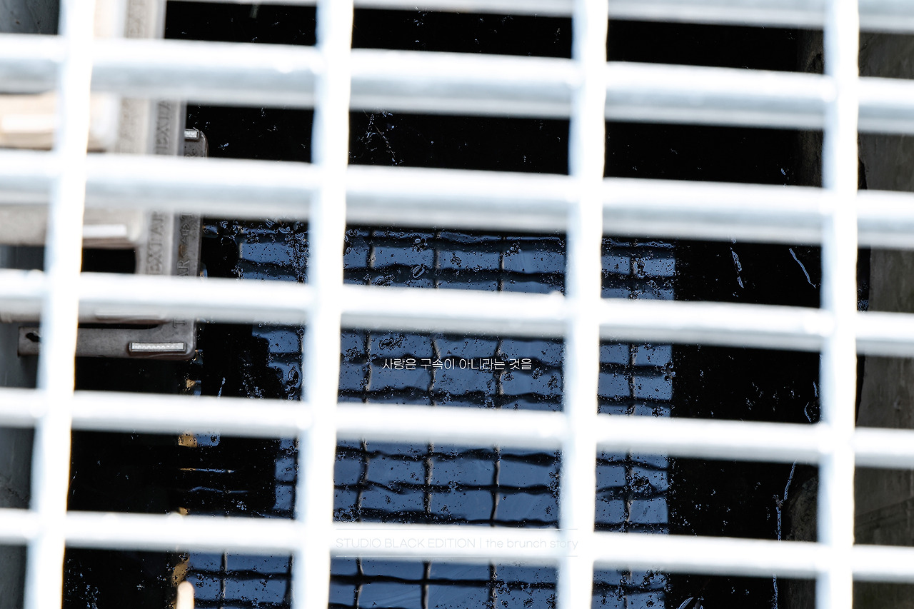 THE BRUNCH STORY 785.jpg