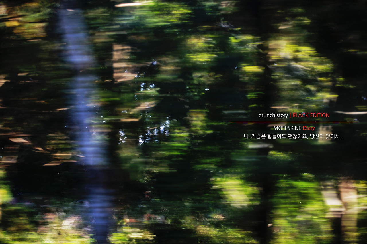 MOLESKINEDiary315.jpg