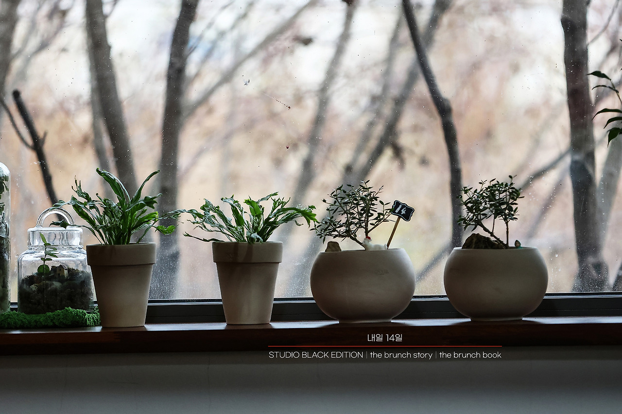 THE BRUNCH STORY 391.jpg