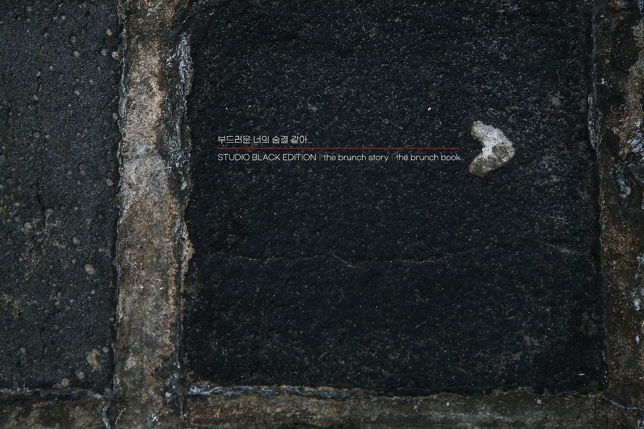 THE BRUNCH STORY 425.jpg