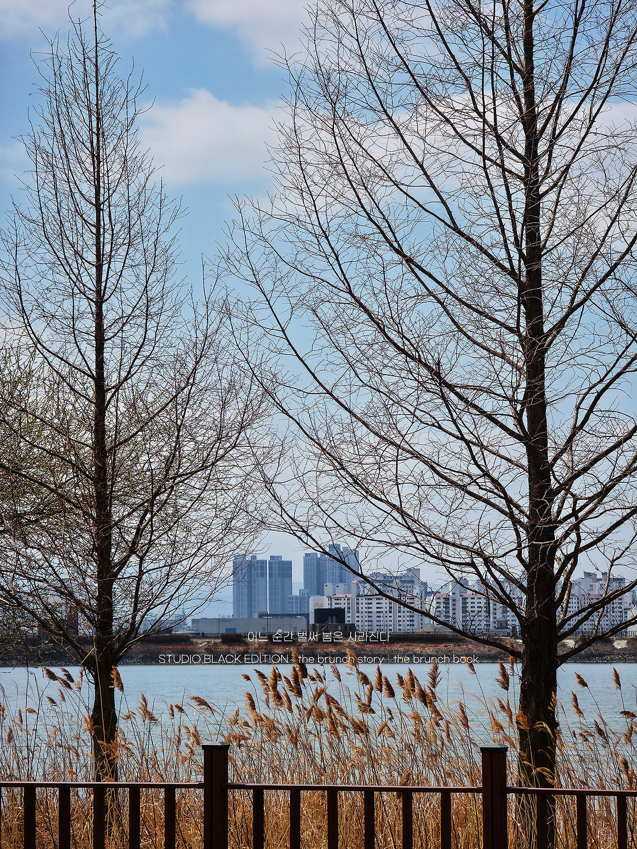 THE BRUNCH STORY 538.jpg