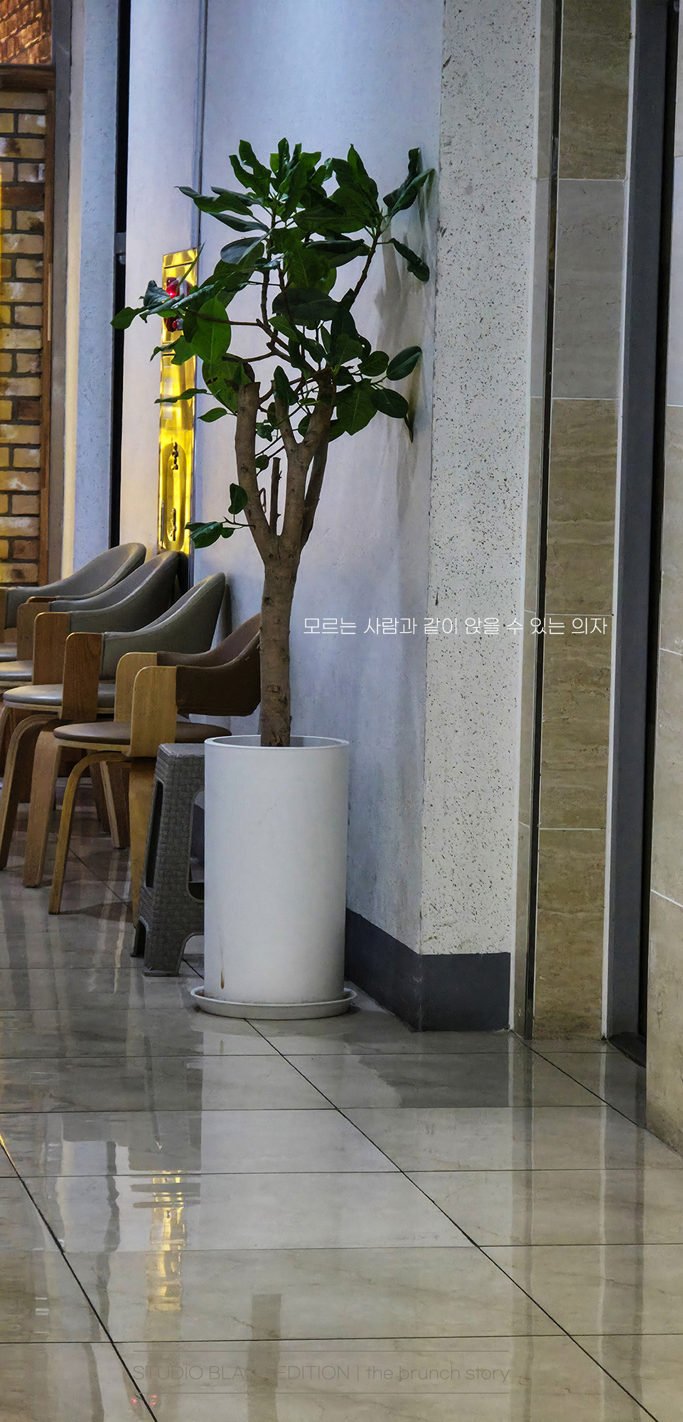 THE BRUNCH STORY 705.jpg