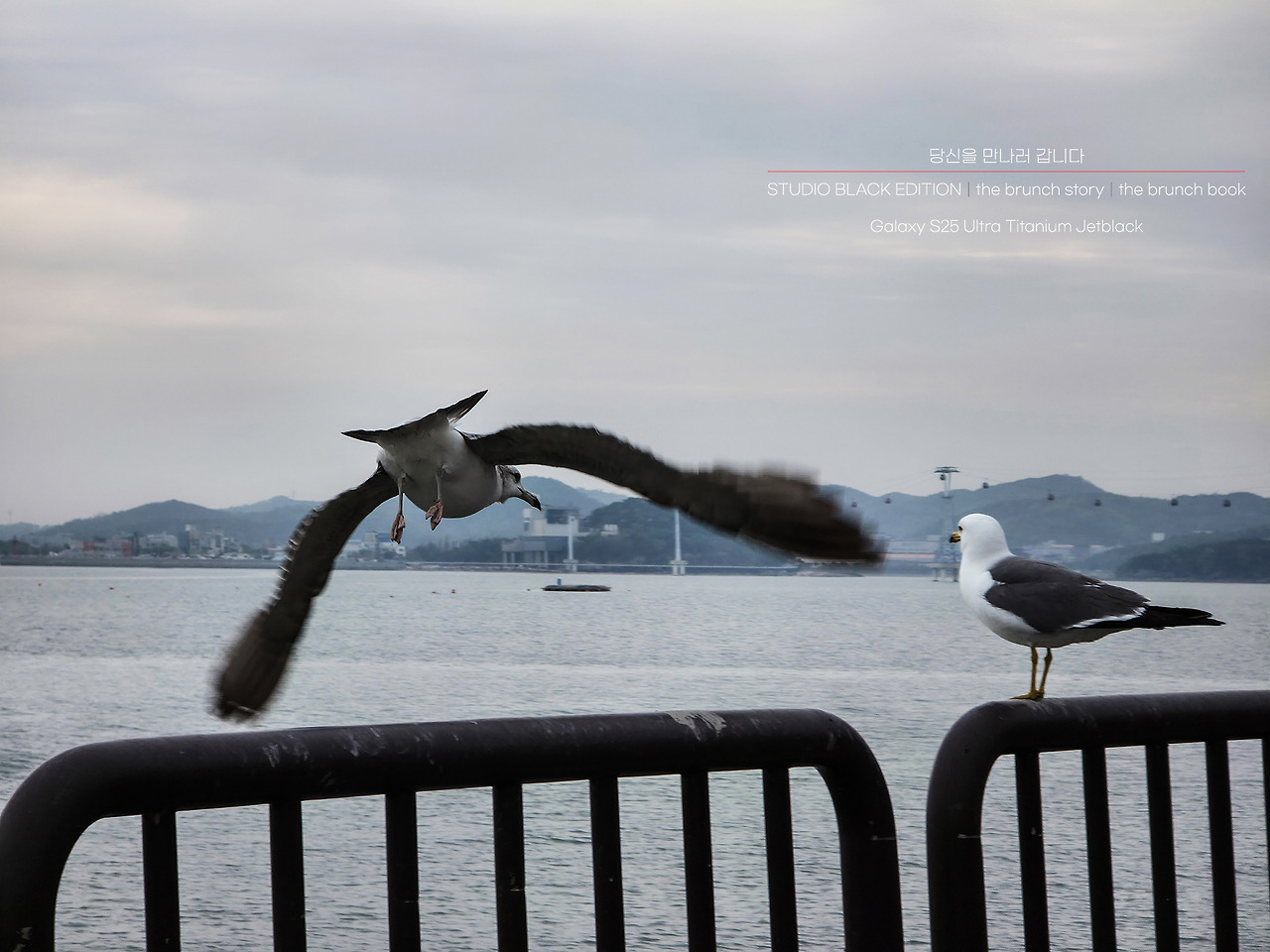 THE BRUNCH STORY 558.jpg